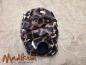 Preview: Läufigkeitshose - Tierfell Giraffe mittel