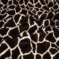 Preview: - Kopie
