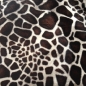 Preview: - Kopie