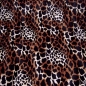 Preview: - Kopie