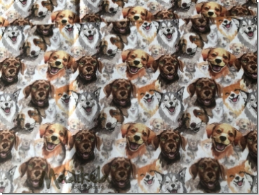 Läufigkeitshose - Hunde - Kopie
