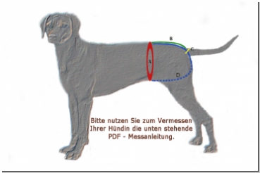 Läufigkeitshose, Schutzhose - Hunde