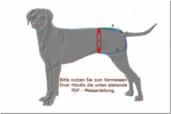 Läufigkeitshose, Schutzhose - Hunde
