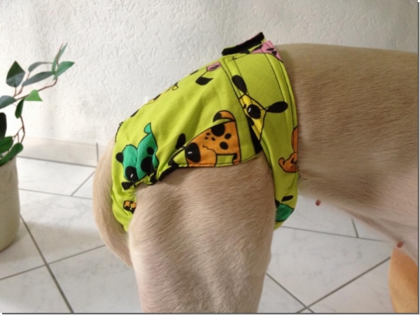 Hunde